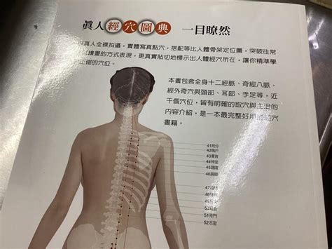 人體寫真經穴辭典|人體寫真經穴辭典：指壓、按摩、針灸，必備工具書（第五版）